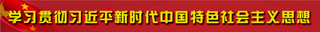 学习贯彻习近平新时代中国特色社会主义思想