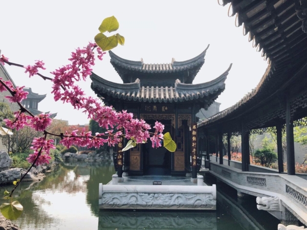 雕花楼景区