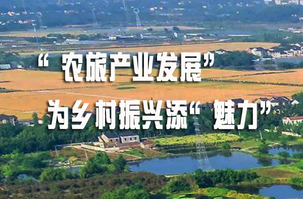 白马镇人民政府党委副书记李光宇谈围绕“白马镇农旅产业发展”为乡村振兴添“魅力”