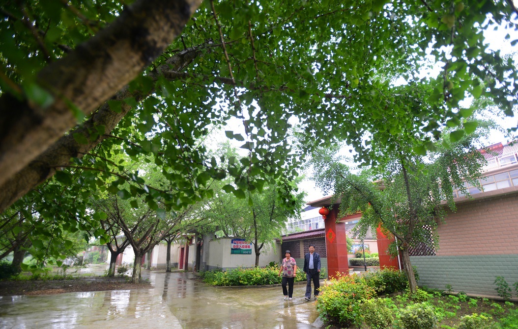泰州医药高新区(高港区):放大“绿色”优势 扮靓特色田园