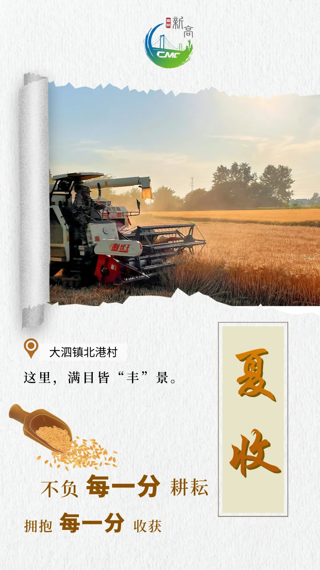 泰州医药高新区(高港区):风吹麦浪穗飘香,遍地金黄收割忙